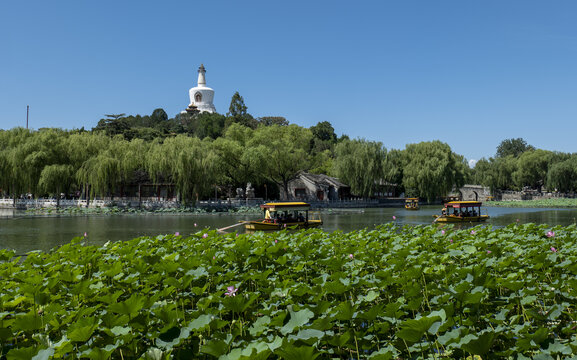 北京北海公园风景