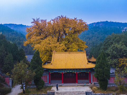 山东济南淌豆寺秋天航拍