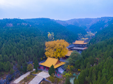 山东济南淌豆寺秋天航拍