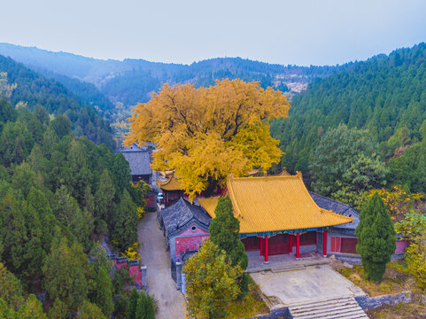 山东济南淌豆寺秋天航拍