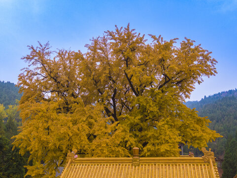 山东济南淌豆寺秋天航拍