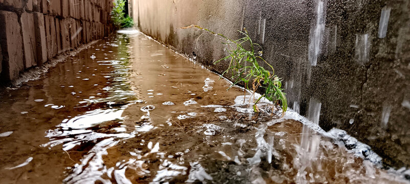 雨天下水道