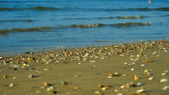 沙滩上的石子