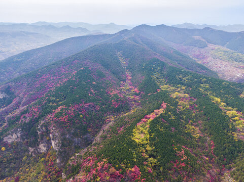 山东济南龙洞藏龙涧航拍秋天