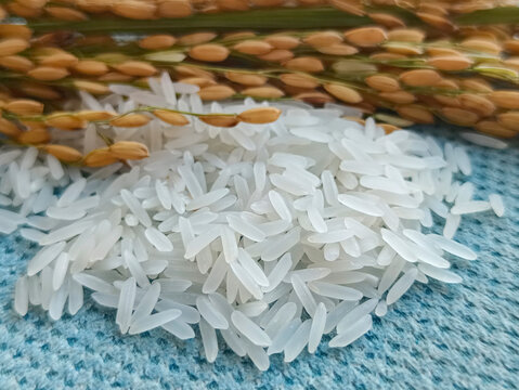 稻米长香米