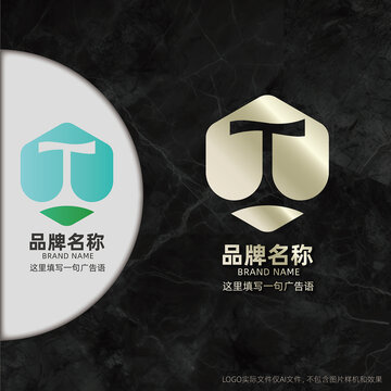 T字母logo设计