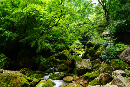 青城后山风光