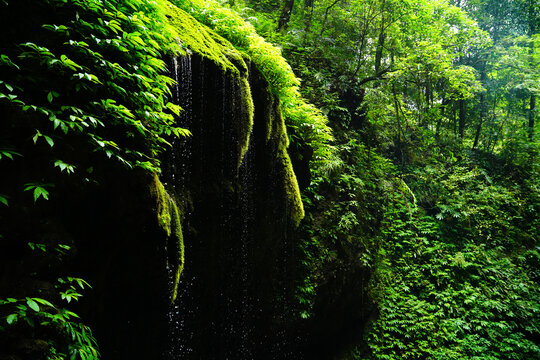 青城后山风光