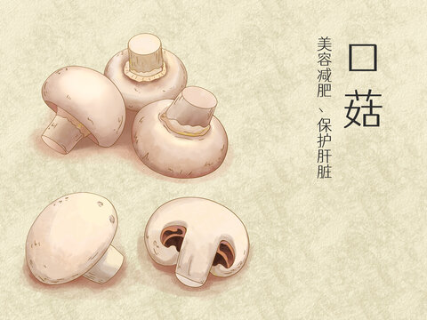 手绘水彩蔬菜双孢蘑菇口菇插画