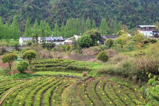 大山深处