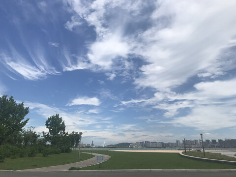 城市绿地天空