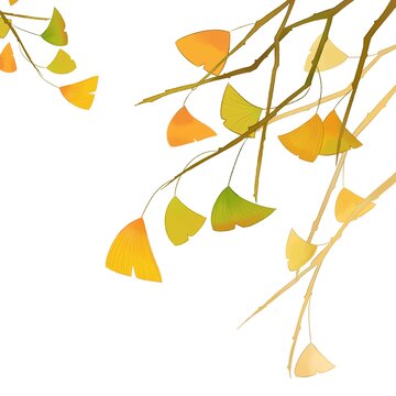 手绘水彩秋季银杏树叶装饰背景