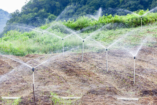 蔬菜种植基地喷灌系统