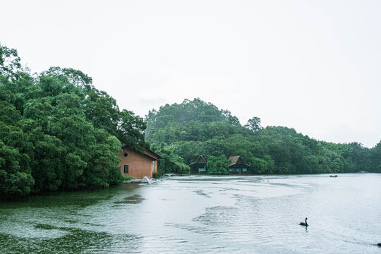 天鹅湖