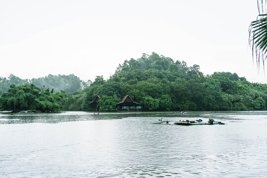 雨中的天鹅湖