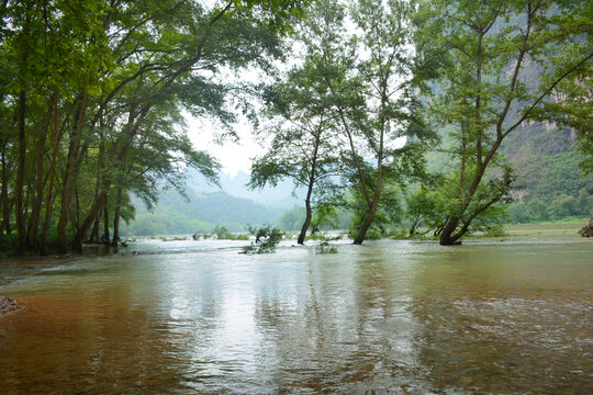 青山绿水