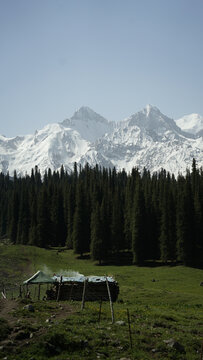 新疆夏塔雪山森林草原小木屋