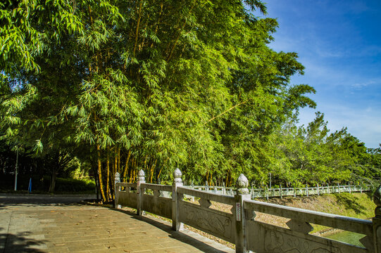 海南儋州莲花寺风光