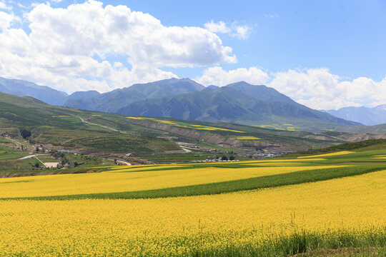 祁连山风光