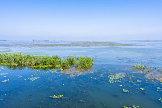 阳澄湖