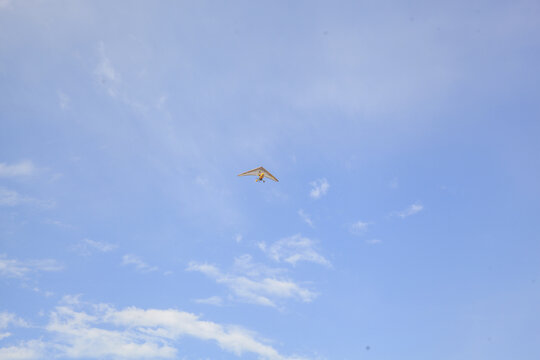 蓝天白云滑翔机