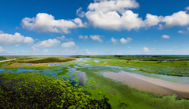 航拍松花江湿地