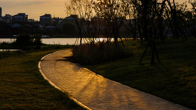 清晨阳光下湖边公园小径