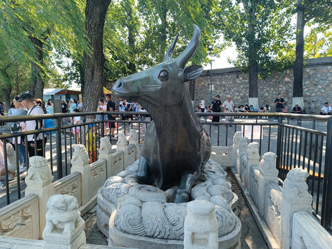 颐和园铜牛
