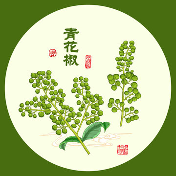 青花椒手绘