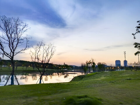 池塘草坪