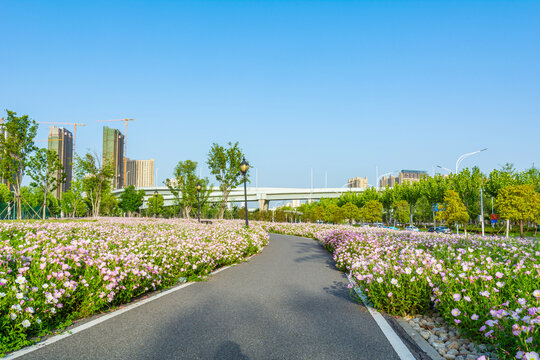 城市绿道