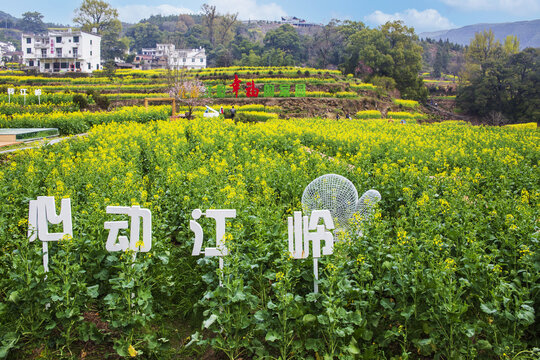 婺源江岭