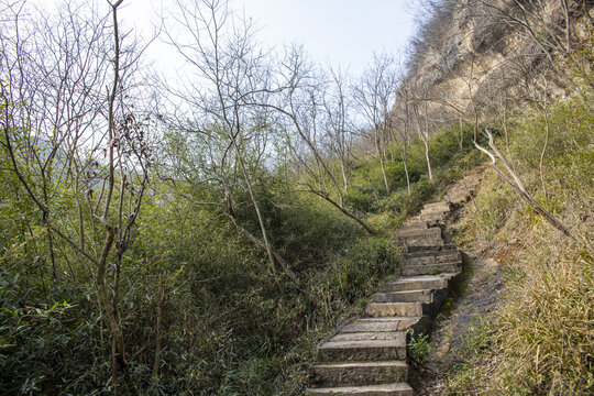 六安皖西大峡谷树丛山路