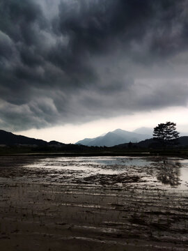 暴风雨