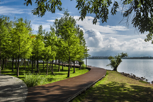 环湖健步道