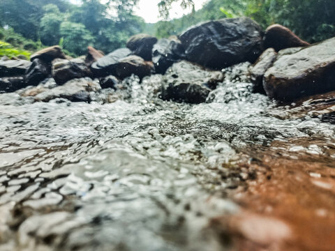 荒野探秘