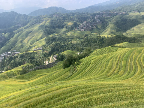 龙脊梯田