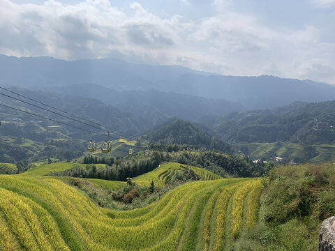 龙脊梯田