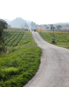 乡村公路