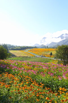 红池坝风景区