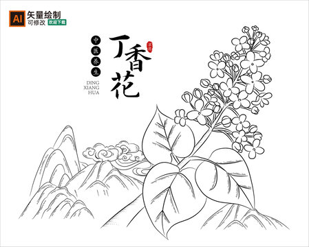 线描丁香花