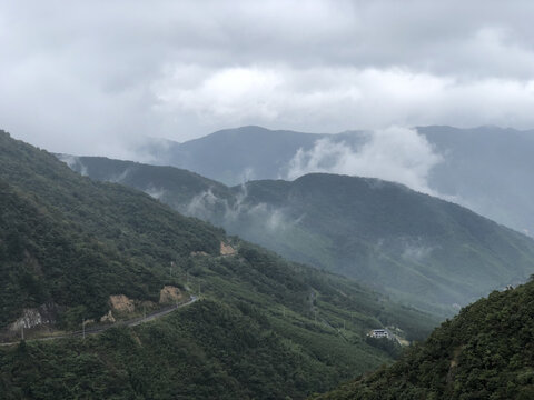 大山深处云雾缭绕