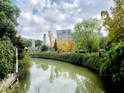 江南垂柳河道