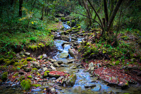 山涧溪流