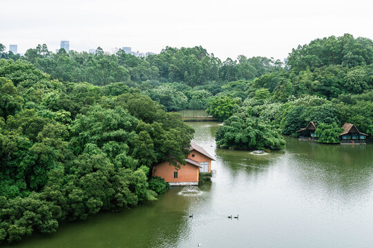 空中俯拍天鹅湖