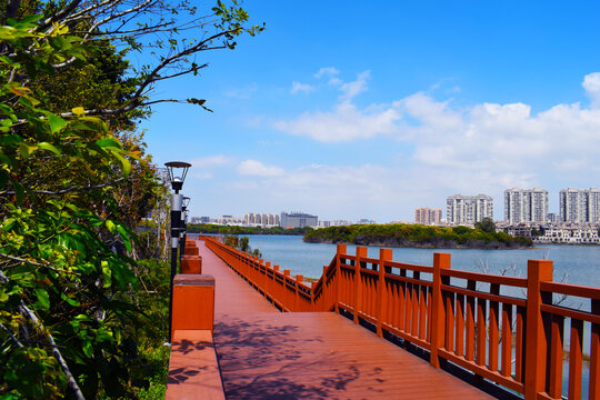 夏日的立新湖