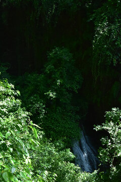 四川青城山问道青城山