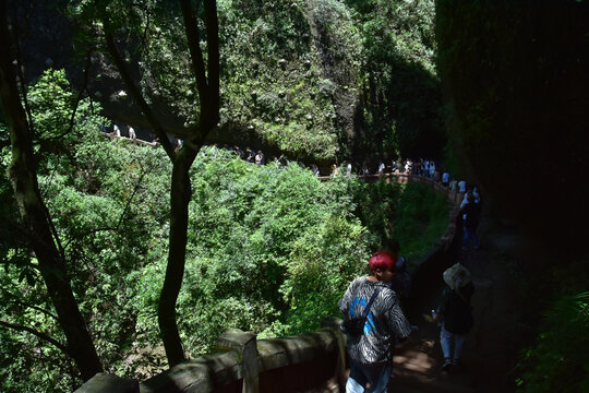 四川青城山问道青城山