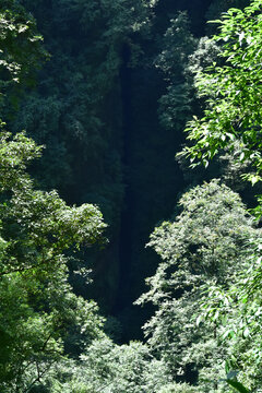 四川青城山问道青城山