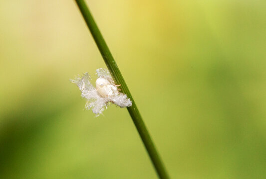 破茧而出